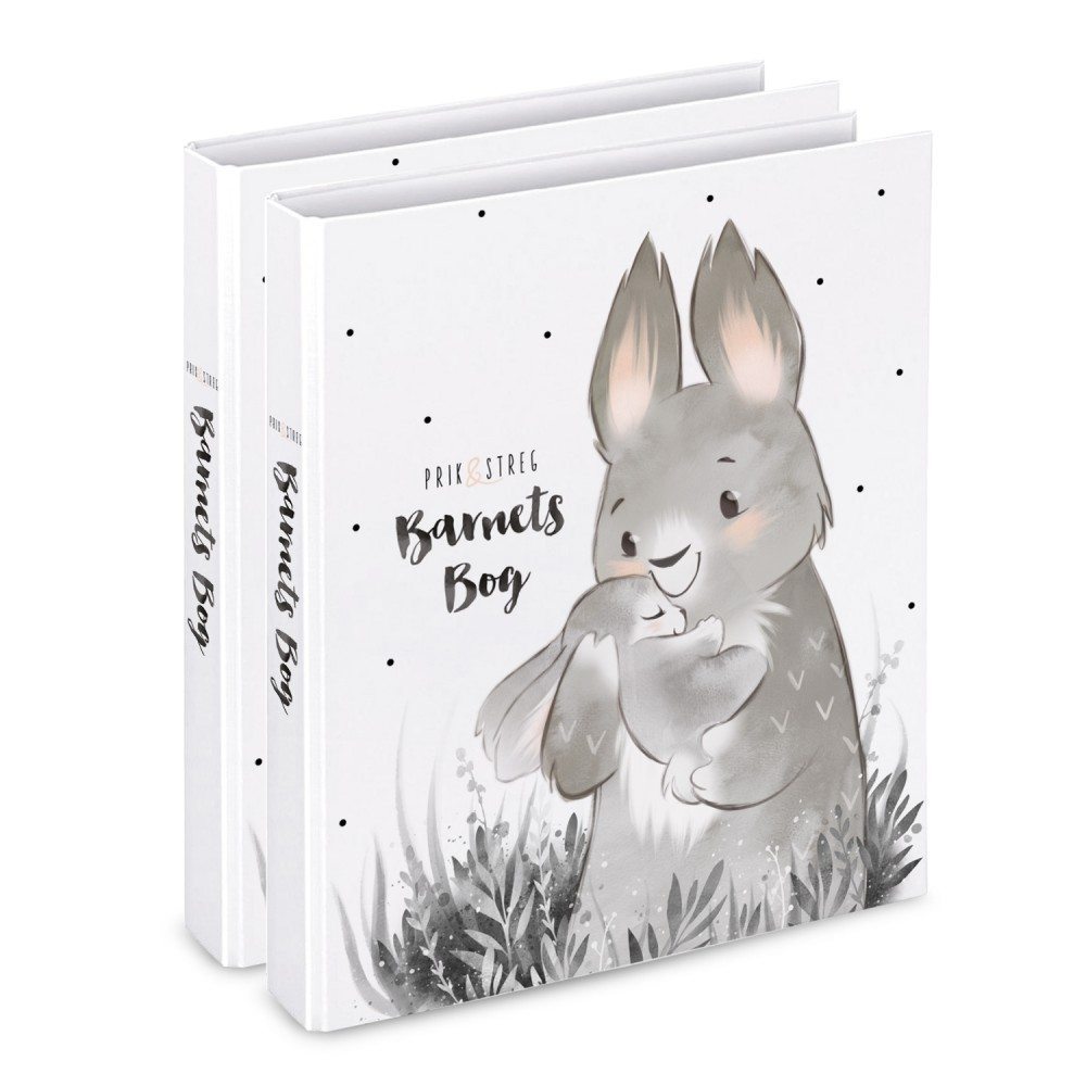 Barnets Bog med Kaniner – Tvillinger
