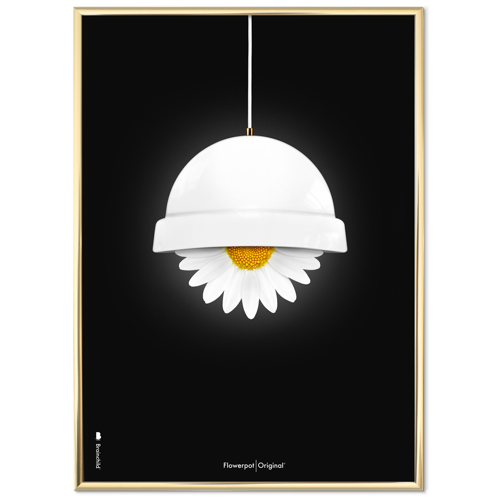 Billede af Plakat med Flowerpot, Hvid Klassisk - 50x70 cm