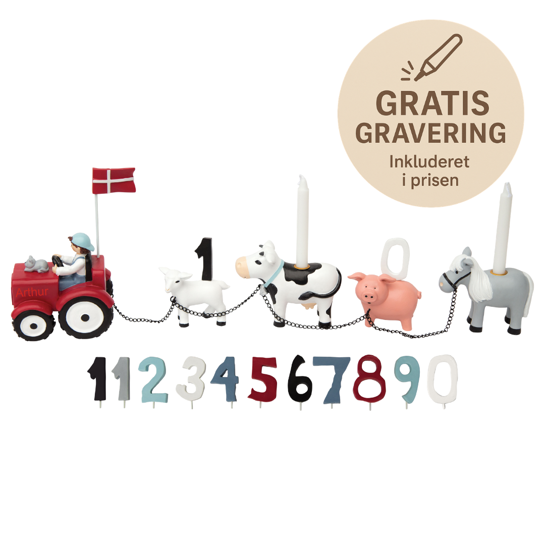 Bondegård Fødselsdagstog