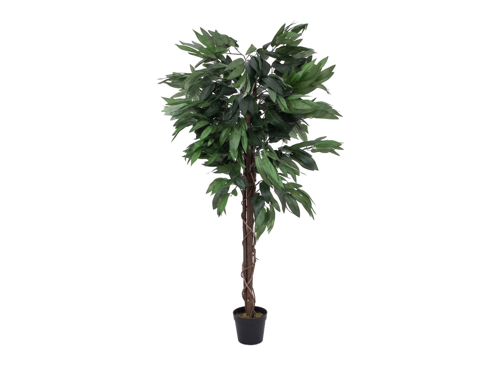 Køb Jungletræ Mango, kunstig plante, 150cm