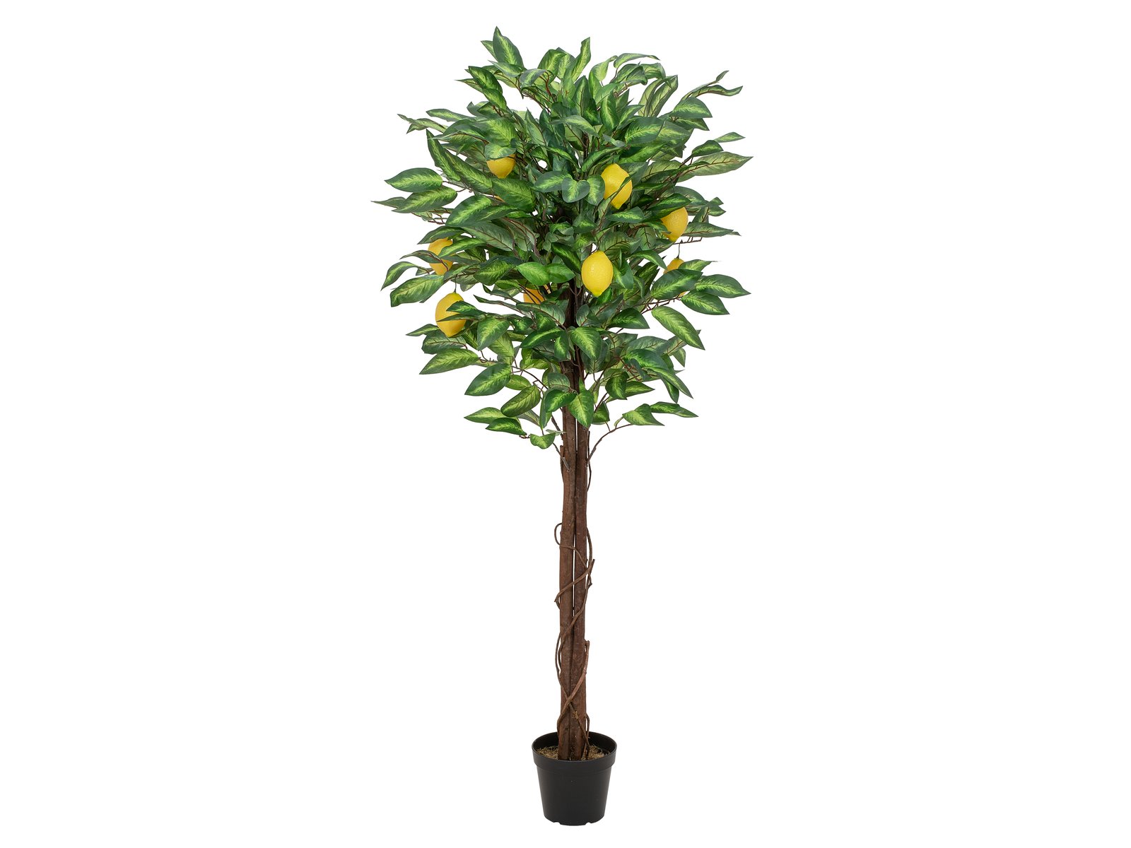 Køb Citrontræ, kunstig plante, 150cm
