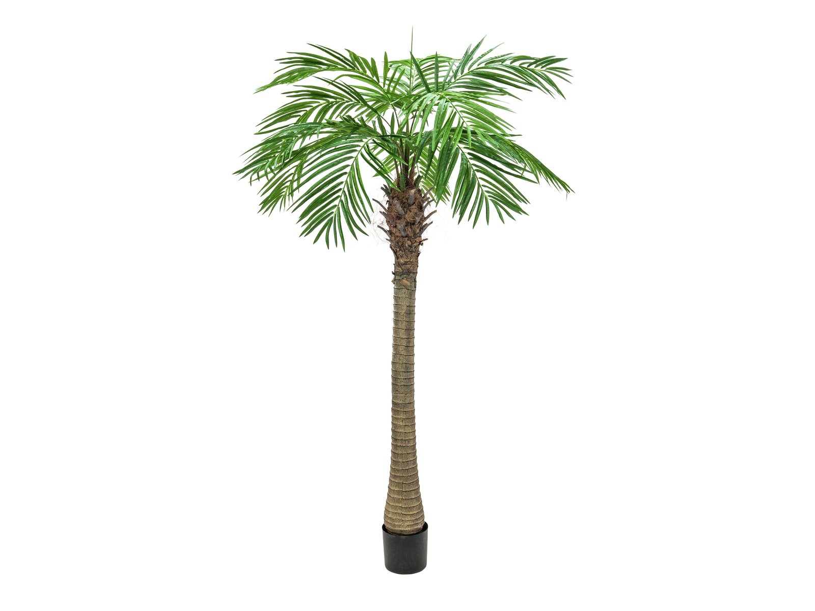 Køb Phoenix palmetræ Luxor, kunstig plante, 150cm
