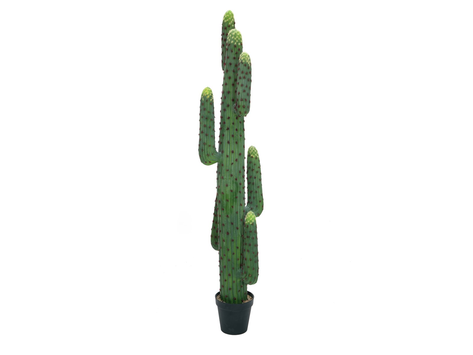 Køb Mexicansk kaktus, kunstig plante, grøn, 173cm