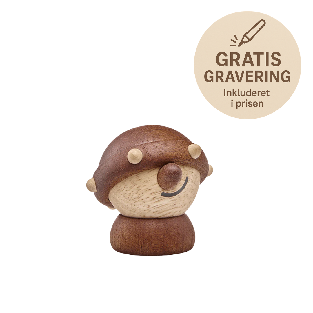 Harald - Den Lille Viking