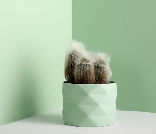 TrineRytterCeramics-urtekrukke-plants-krukke-dansk-design