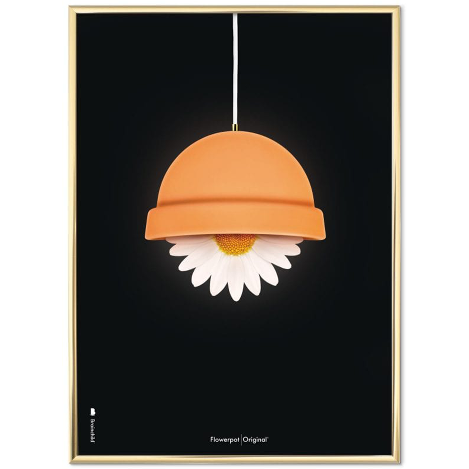 Plakat med Flowerpot - 50 x 70 cm