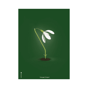 Brainchild - Plakat med Vintergæk – Groen Klassisk – 50×70 cm - brainchild plakater