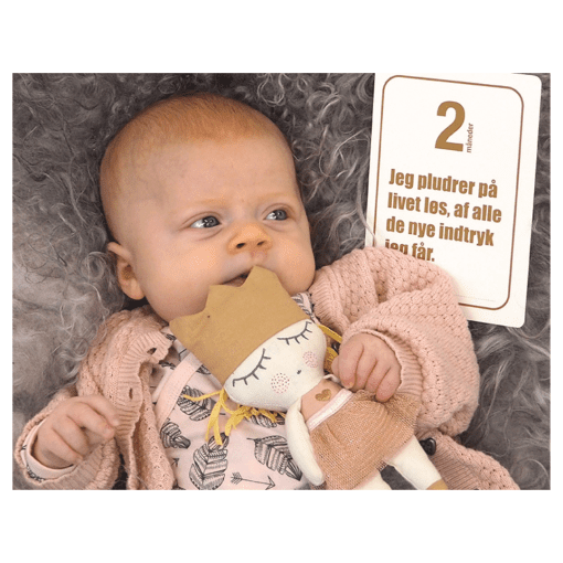 Milestone baby kort - mouse and pen - milepalskort - FR28014 (6)