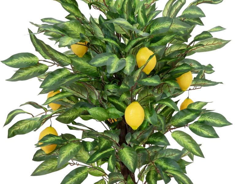 Albero Di Limone Artificiale 82507815 - Pianta Finta Decorativa, Altezza 150 Cm, Materiale Durevole, Perfetta Per Casa E Ufficio