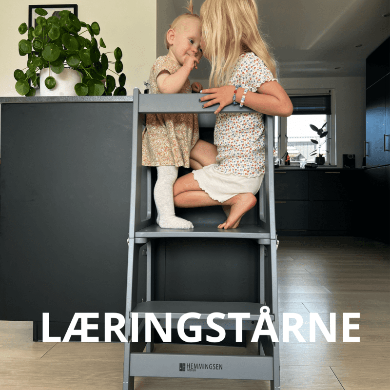 laereingstaarne_kategori