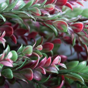 Alternative view of Kunstig Græsspiral, grøn/rød, 105 cm