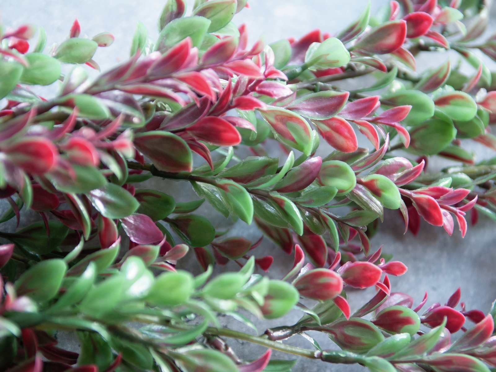 Kunstig Græsspiral, grøn/rød, 105 cm - Billede 4