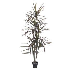 Kunstig Dracaena, grøn/rød, 180 cm