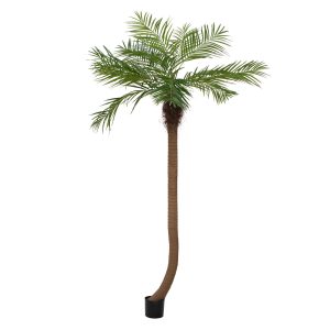 Alternative view of Kunstig Phoenix palme, grøn, 240 cm