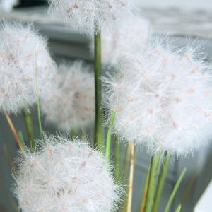 Alternative view of Kunstig Løvetande, grøn/hvid, 107 cm