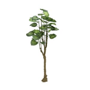 Kunstig Pothos træ, grøn, 175 cm