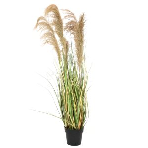 Kunstig Kinesisk sølvgræs, grøn/beige, 140 cm