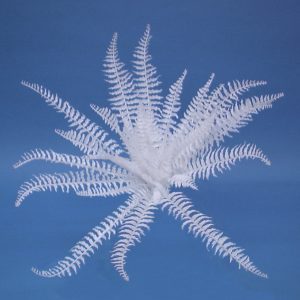 Kunstig bostonbregne, hvid, 60 cm