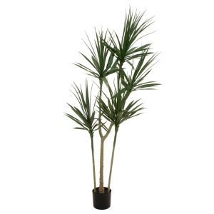 Kunstig Dracaena, grøn, 170 cm