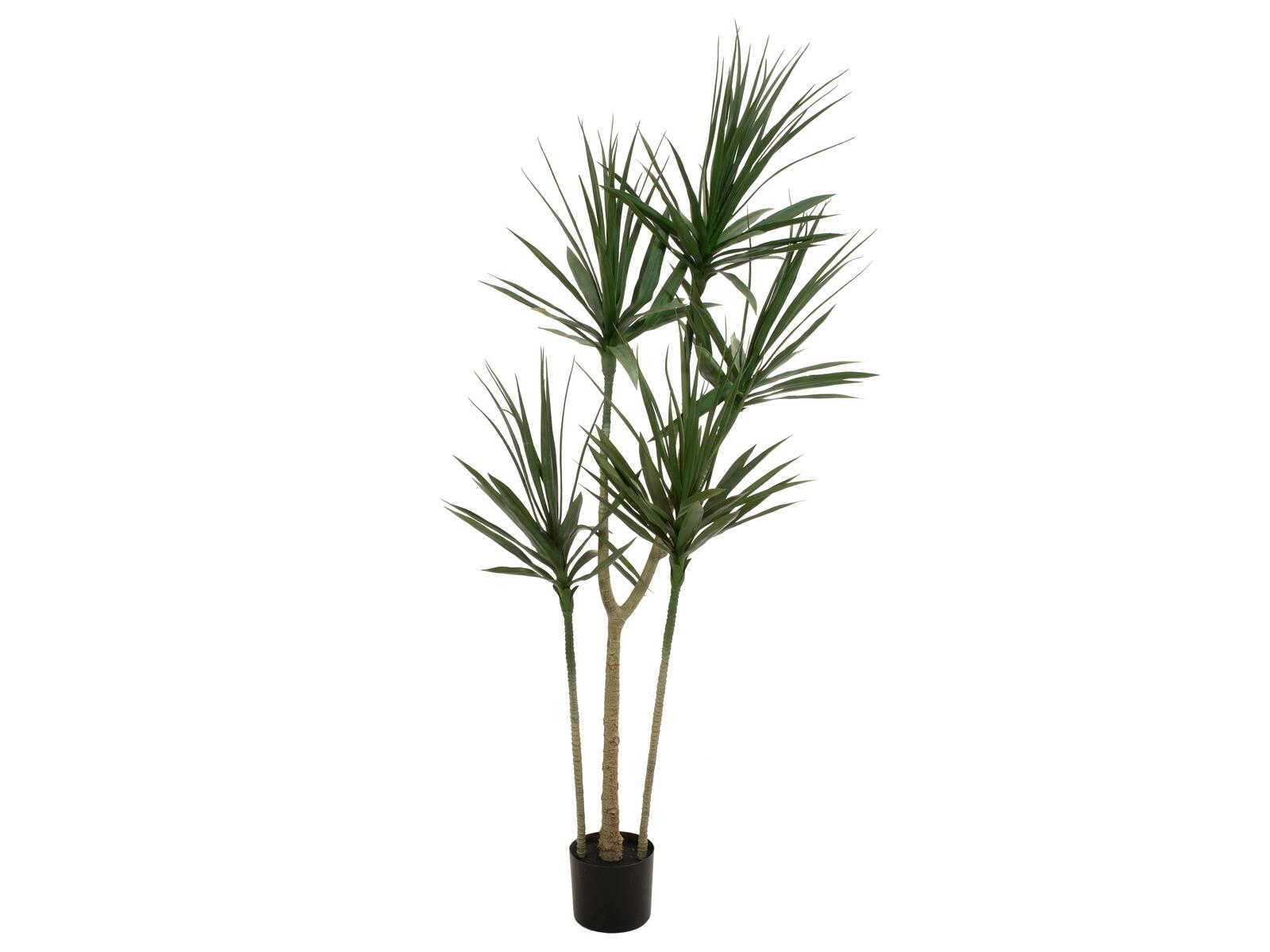 Kunstig Dracaena, grøn, 170 cm