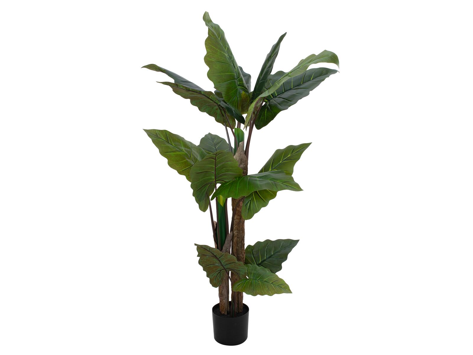 Kunstig Taro Alocasia, grøn, 140 cm