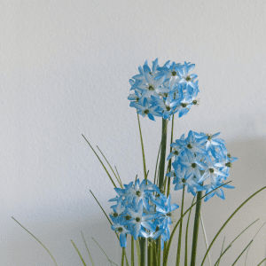 Kunstig Allium graes, blaa, 120 cm (1)