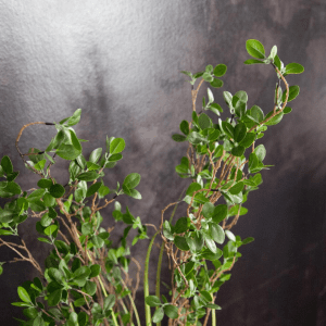 Kunstig Eviggroen busk med graes 182 cm - kunstige planter