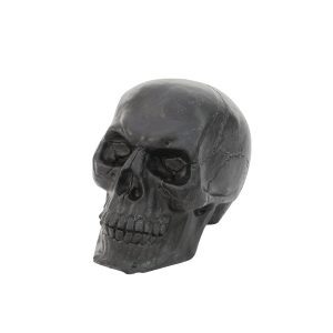 Alternative view of Dødningehoved, Sort