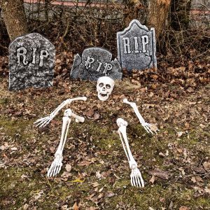 Alternative view of Halloween Skelet til haven