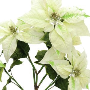 Alternative view of Kunstig Julestjerne, creme, 60 cm