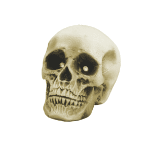 Halloween Kranium med LED (2)