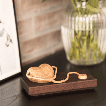 Dimmisionsgave veterinaersygeplejerske - personlig gave med gravering - maya soele