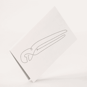 Maya Soele lykoenskningskort - VVS (1)