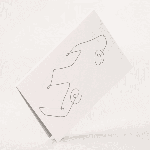 Maya Soele lykoenskningskort - mekaniker (1)