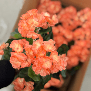 3489-31-1 - Pelargon - kunstig blomst