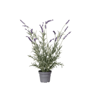 4993-40-1 - lavendel