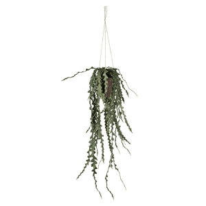 6356-90-3 - Älghornsbräken - stuebregne - kunstig plante