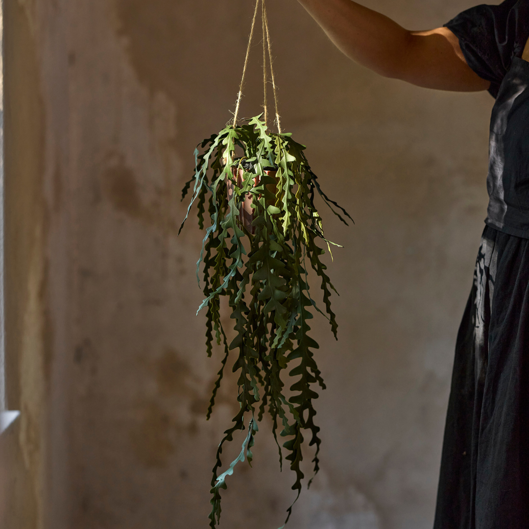 6356-90-3 - Älghornsbräken - stuebregne - kunstig plante - haengeplante