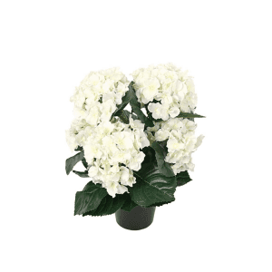 6871-99-1 mix - Hortensia 37 cm - 6871-10-1