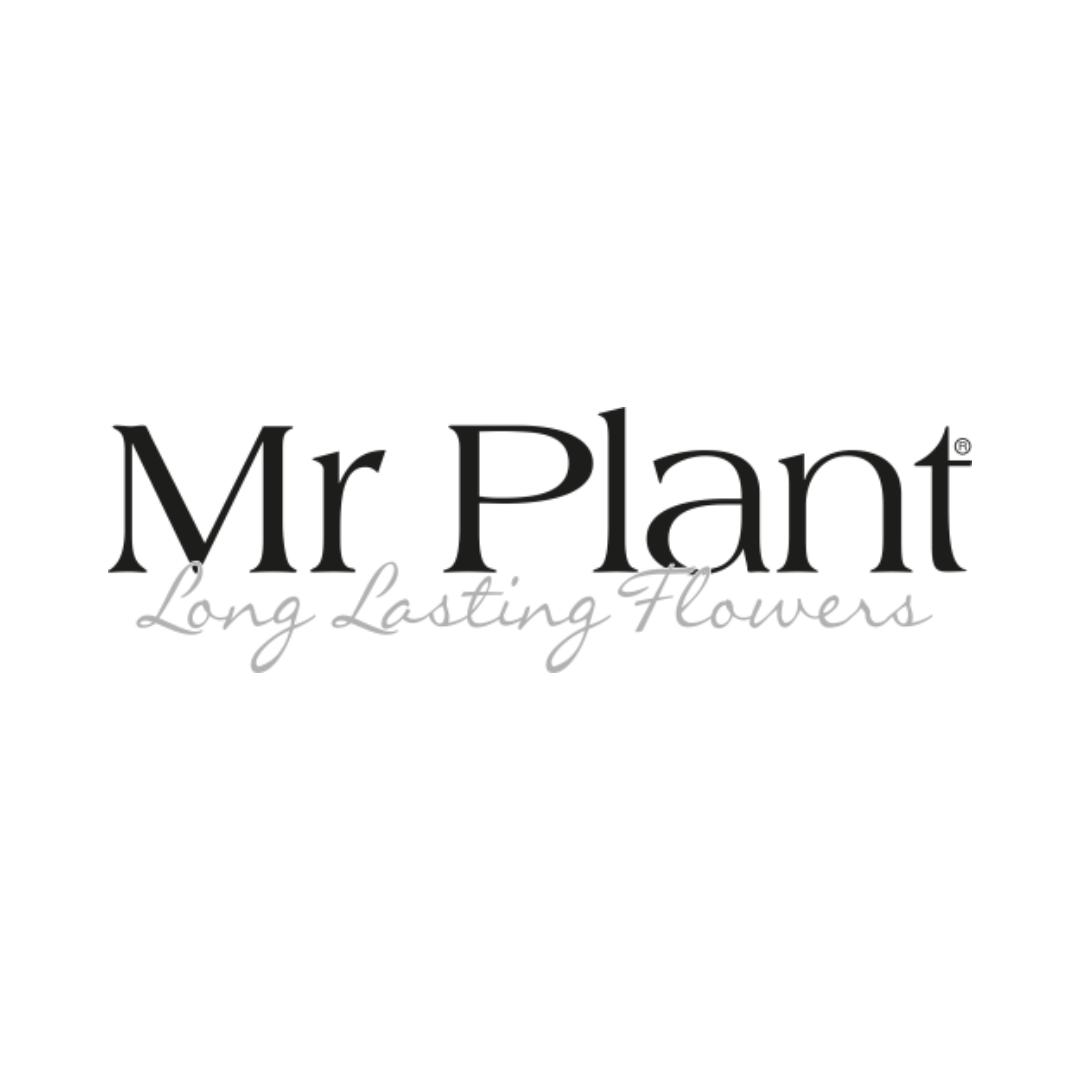 Mr Plant logo
