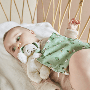 Kaloo Bamse - Nusseklud - Hund, Groen - nusseklud - bamser