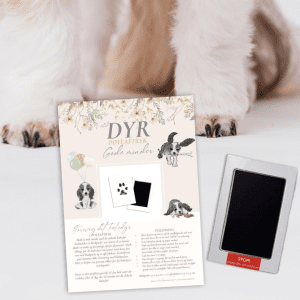 poteaftryk til kaeledye - aftrykssaet - poteaftryk hund - poteaftryk kat (1)