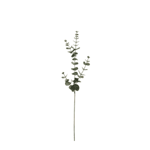 4646-95 - Eucalyptus gren 80 cm - kunstig plante - kunstige grene
