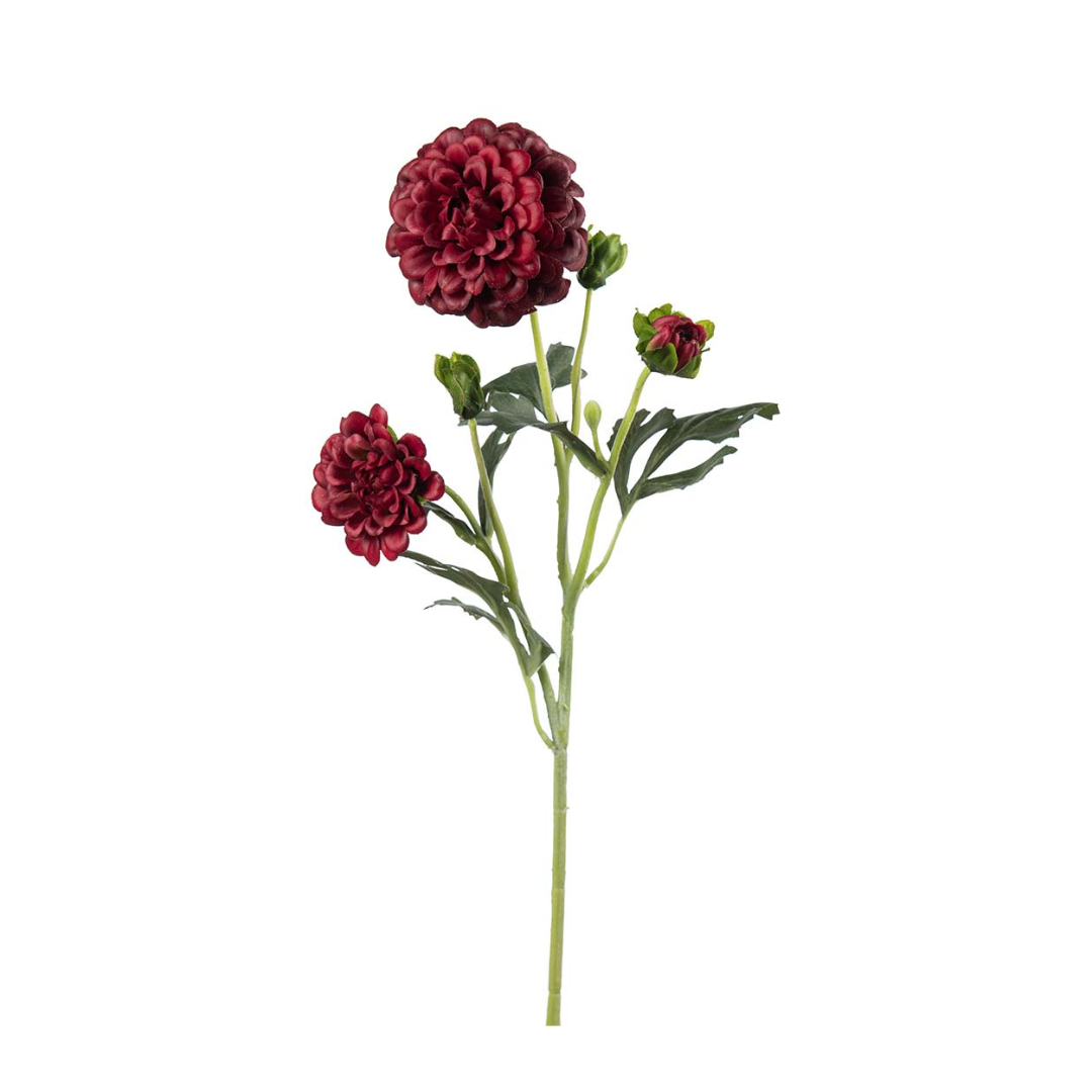 Mr Plant - Krysantemum-gren, Burgundy, 52 cm - Billede 2