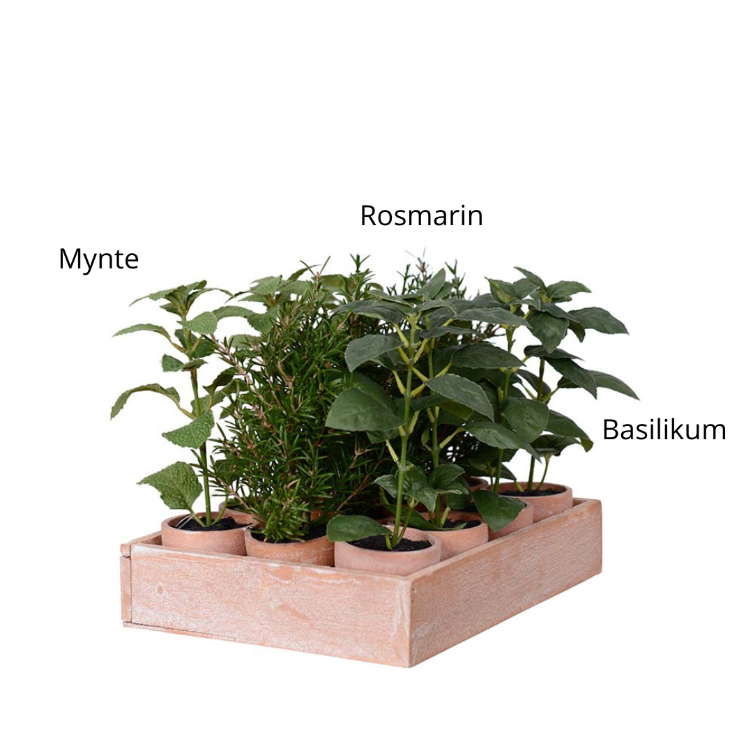 Mr Plant - Krydderimix – Basilikum, Rosmarin & Mynte i potter, 22 cm - Billede 2